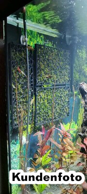 Moos-Halterungssystem Aquarium Rückwand - Aquascaping Moosgitter Mooswand – Bild 16