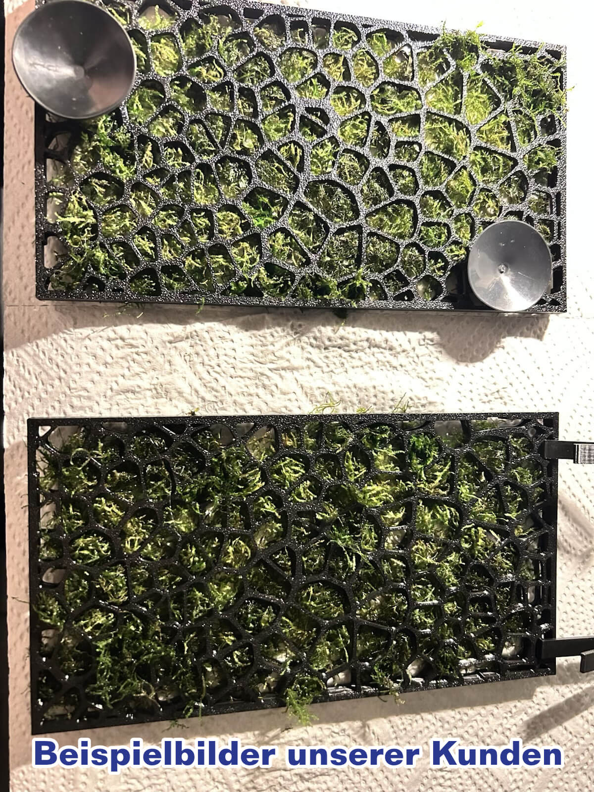 Moos-Halterungssystem Aquarium Rückwand - Aquascaping Moosgitter Mooswand – Bild 6