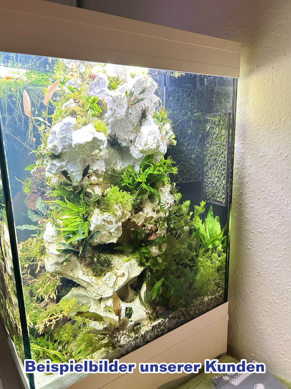 Moos-Halterungssystem Aquarium Rückwand - Aquascaping Moosgitter Mooswand – Bild 17