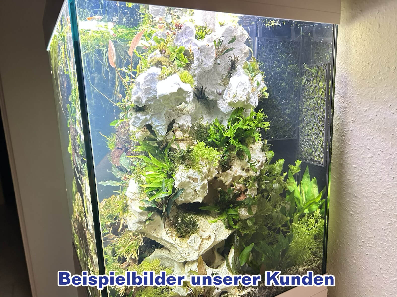 Moos-Halterungssystem Aquarium Rückwand - Aquascaping Moosgitter Mooswand – Bild 2